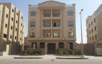 Gemini_Generated_Image_6pvua96pvua96pvu