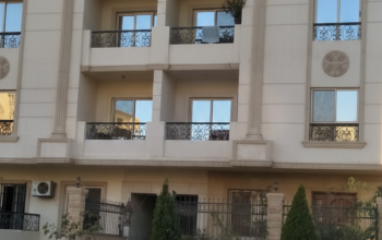 Gemini_Generated_Image_cg01aacg01aacg01