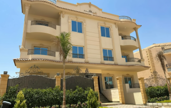 Gemini_Generated_Image_pav9ilpav9ilpav9